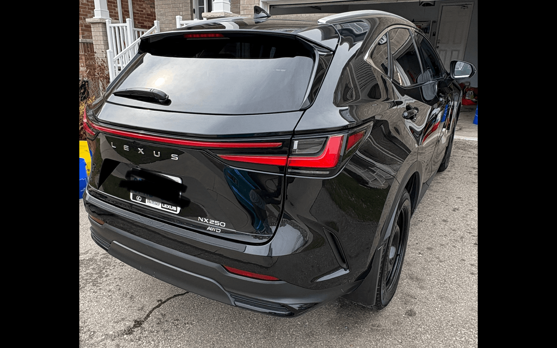 Comprehensive Wash and Polish